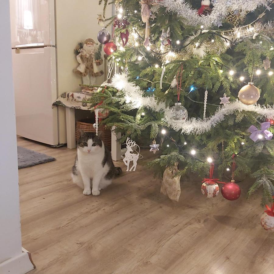 Nadmorskie Apartamenty Устка Экстерьер фото